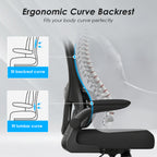 Mesh Ergonomic Office Chair with Lumbar Support