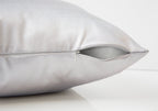 Set Of 2 Decorative Throw Pillows - 18 X 18