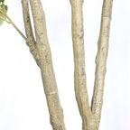 6' Artificial Olive Tree in Plastic