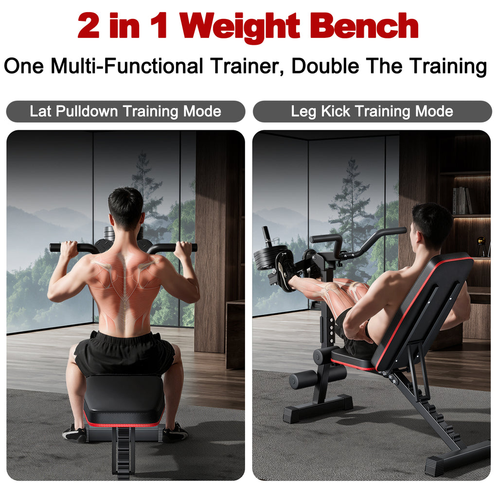 Multi-Functional Adjustable Weight Bench