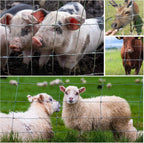 Farm Fence 3ft x 164ft Heavy Zinc Coated Cattle Fence
