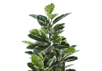 52" Tall Artificial Rubber Tree - Indoor and Faux Decorative Plant