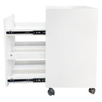 Organizer for Pantry - Sliding Out Snack Cabinet