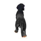 26 Inch Black and Tan Dachshund Statue