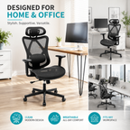 Ergonomic Office Chair
