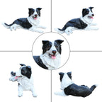 Outdoor Garden Border Collie Dog Statue
