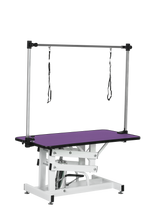 42.5-Inch Hydraulic Pet Grooming Table With "H" Arm