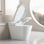 Unique Smart Toilet with Integrated Bidet