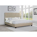 B062S00665