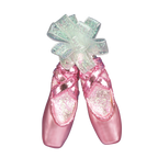 Pair Of Ballet Slippers
