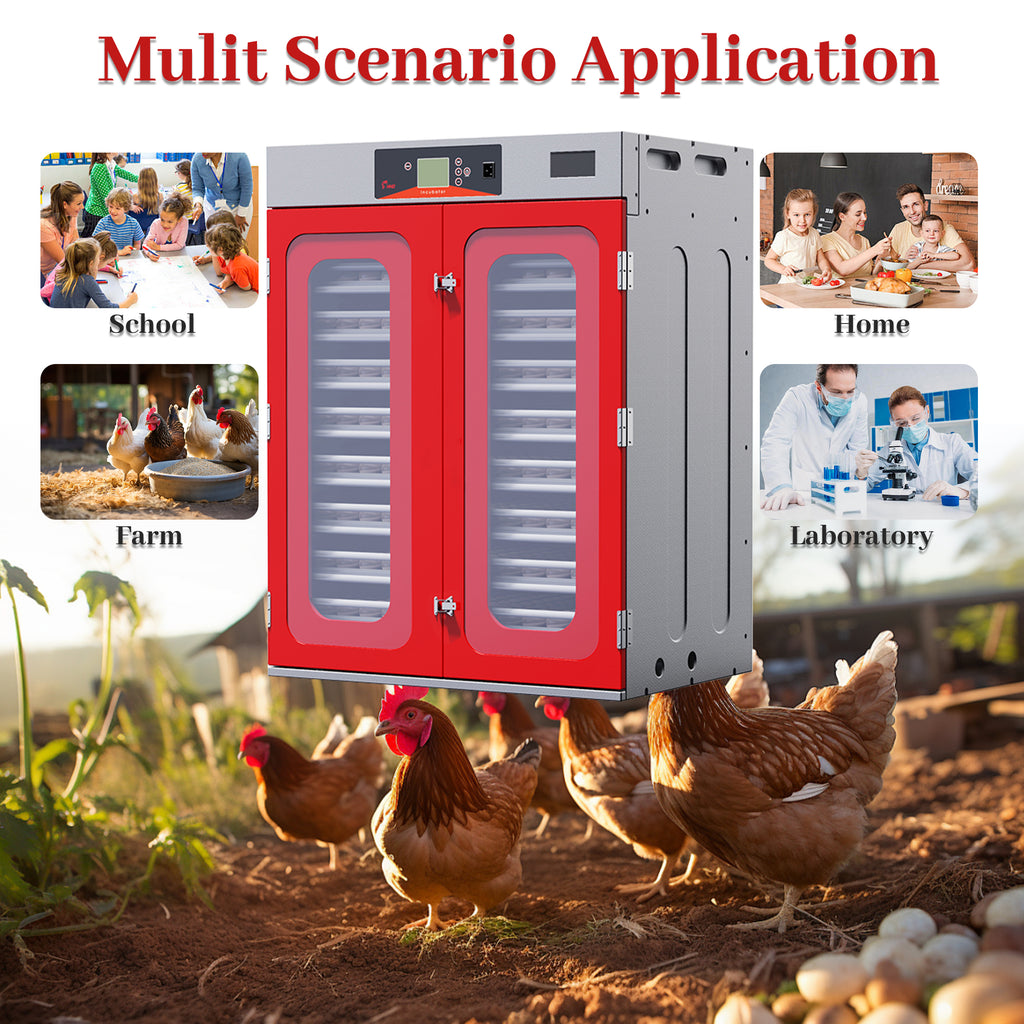 1000-Egg Commercial Cabinet Incubator