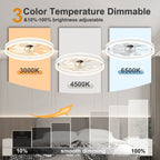 23.6 Inch Ceiling Fan with Light, Quiet DC Motor