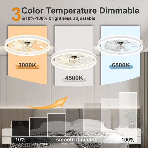 23.6 Inch Ceiling Fan with Light, Quiet DC Motor