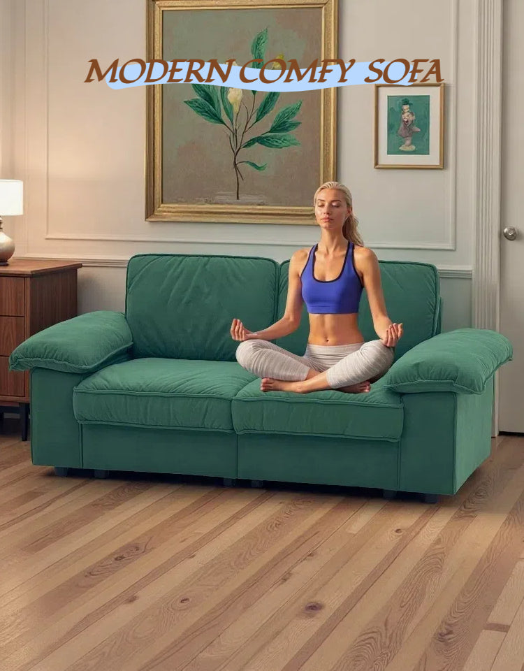 FX-P20M-2S-GR Modern Storage Sofa