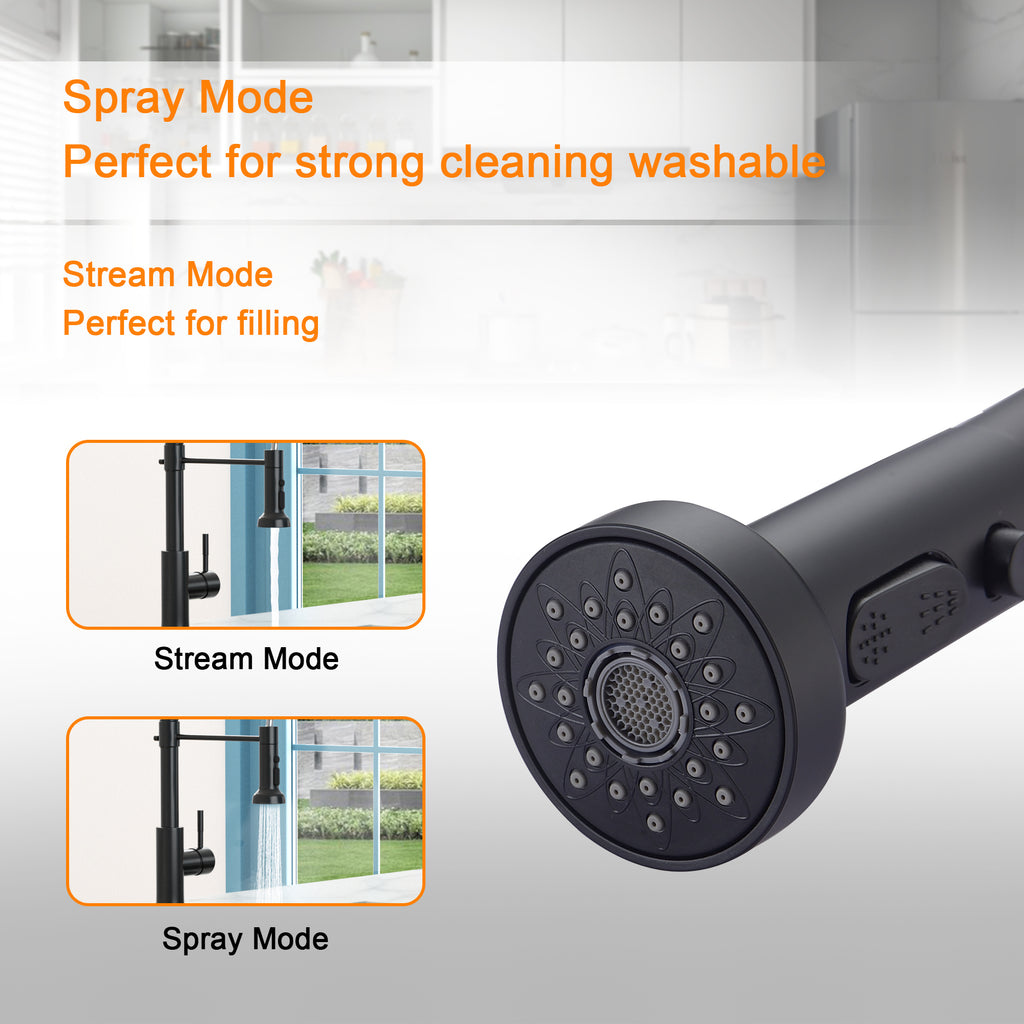 Kitchen Sink Faucet with Separate Handle, Matte