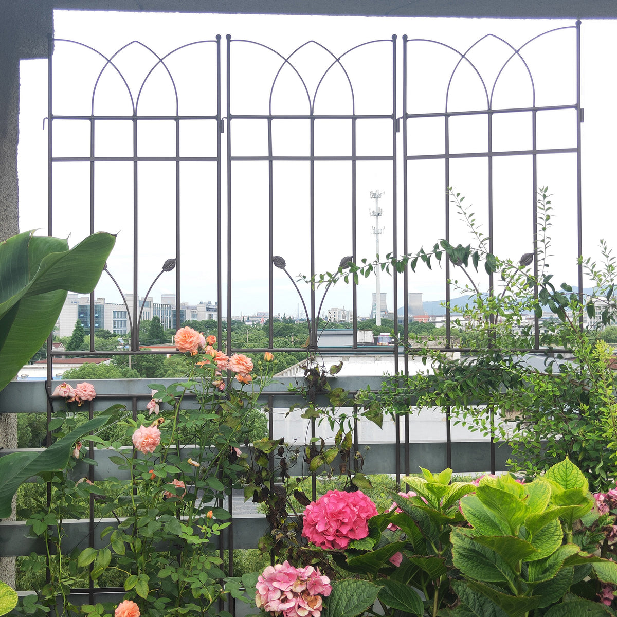 4 Pack Metal Garden Trellis 71" x 17.7"