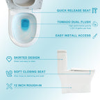 Ceramic One Piece Toilet for Bathroom