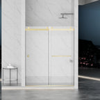 Frameless Shower Door with Double Sliding Mechanism