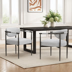 Modern Dining Chairs Set of 2