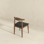 Destiny Modern Dining Chairs (Set of 2)
