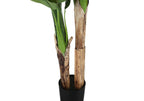 Artificial Banana Tree - 55" Tall Indoor Plant