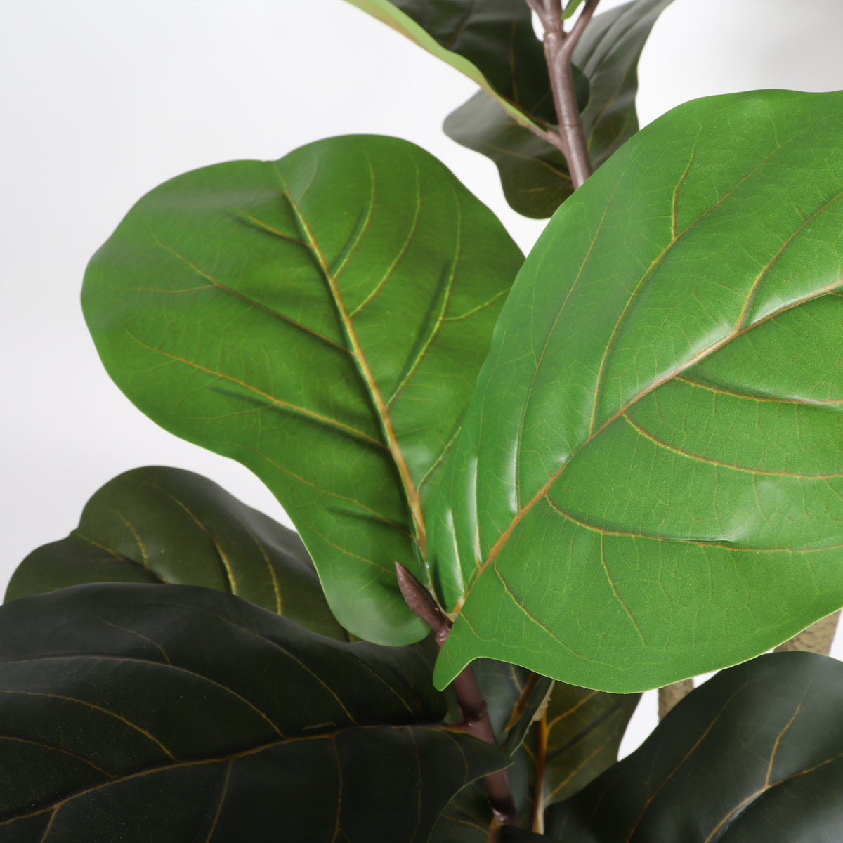 6ft Artificial Fiddle Leaf Fig Tree with Black Plastic Pot, Green