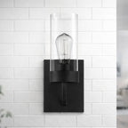 Zephyr Single Light Sconce With Clear Glass Metal