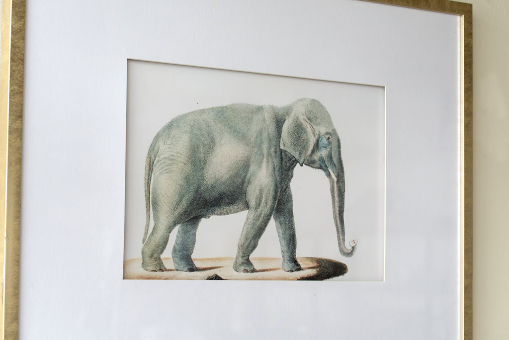 23.6x31.5" Fake Elephant Pencil Drawings, Set of 2