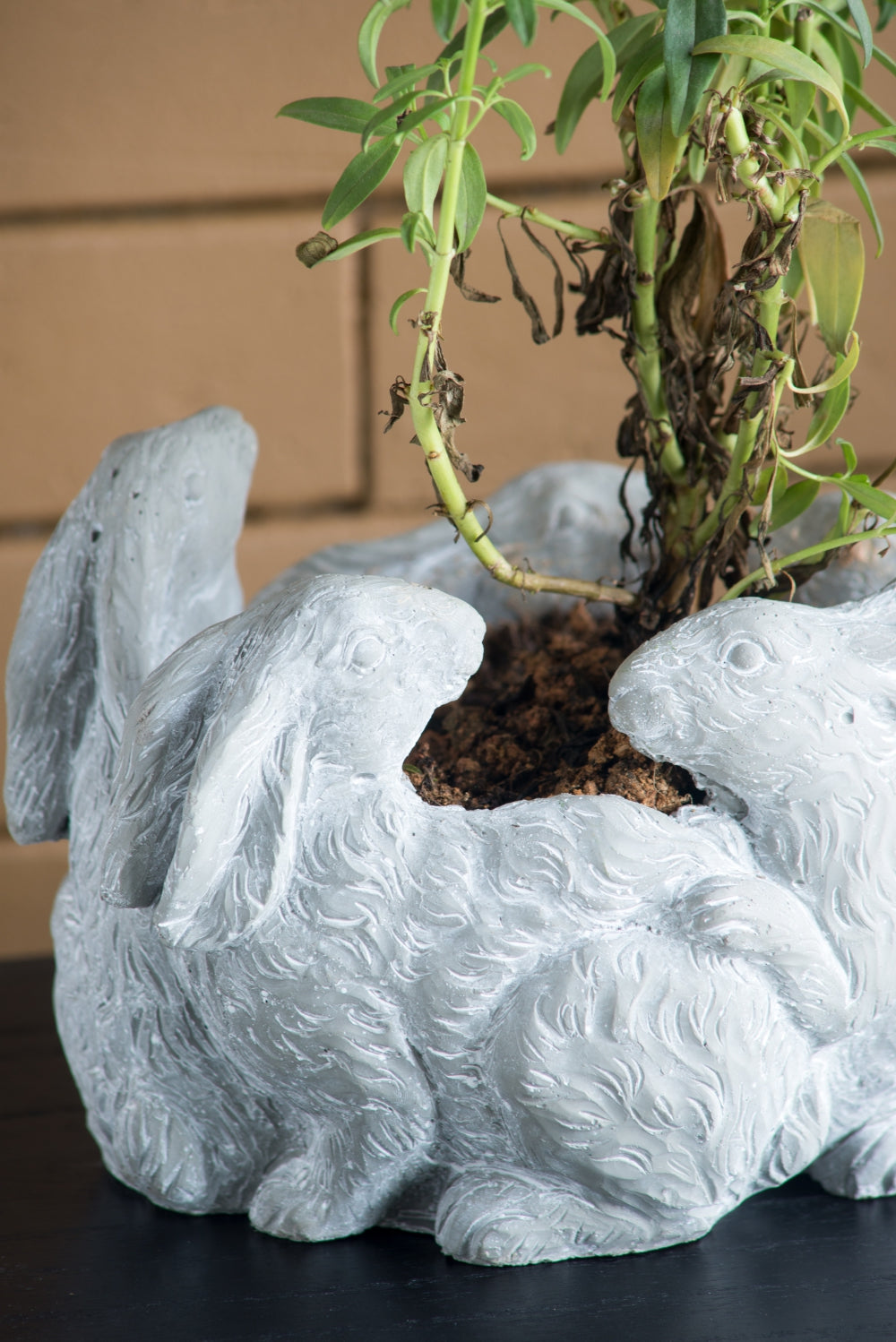 5 Bunny Cement Planter