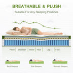14 Inch Queen Size Hybrid Mattress in a Box