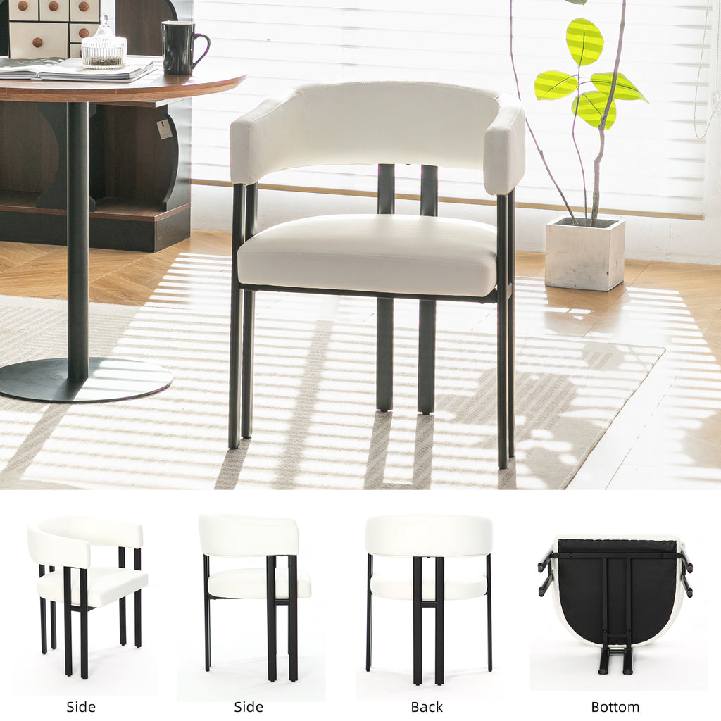 Modern Dining Chairs Set of 2
