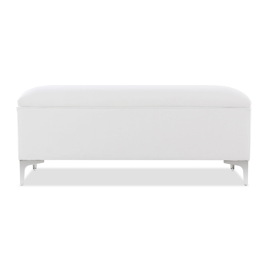 Madelyn 49" Modern Storage Bench, Bright
