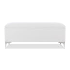 Madelyn 49" Modern Storage Bench, Bright