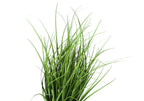 23" Tall Artificial Grass Plant