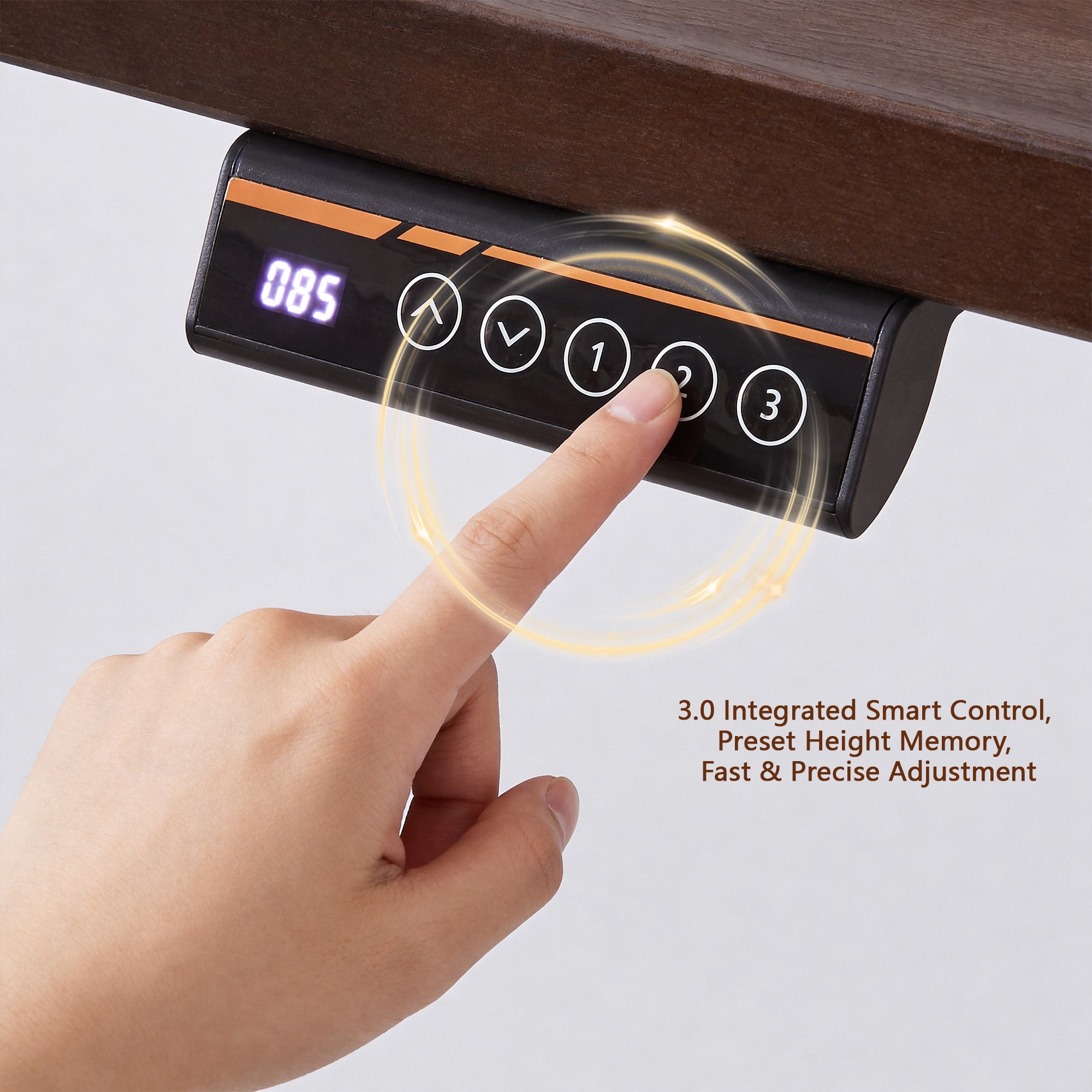 Solid Rubberwood Electric Standing Desk