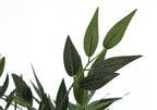 Artificial Acacia Tree - 47" Tall Indoor Plant