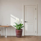 Handmade Glazed Ceramic Planter Set of 3