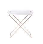 Cercie Clear Acrylic Tray Table