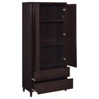 Nestor Tobacco 2-Drawer Tall Accent Cabinet with 2 Doors