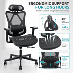 Ergonomic Office Chair