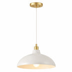 Astral Single Light Pendant Lamp