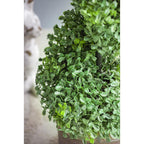 7.5x7.5x35" 3 Foot Tall Artificial Spiral Boxwood Tree