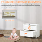Lateral File Cabinet 2 Drawer