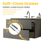 TIA 30" Wall Mount Space Bathroom Vanity