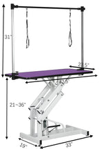 42.5-Inch Hydraulic Pet Grooming Table With "H" Arm