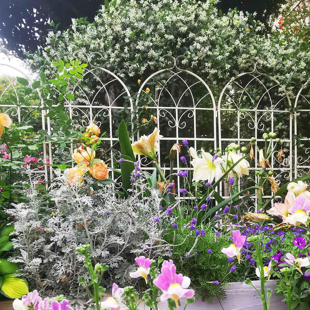 2 Pack Metal Garden Trellis 71" x 19.7"
