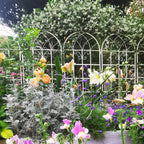 2 Pack Metal Garden Trellis 71" x 19.7"