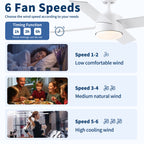 44" Ceiling Fan with Lights & Remote - Matte Finish