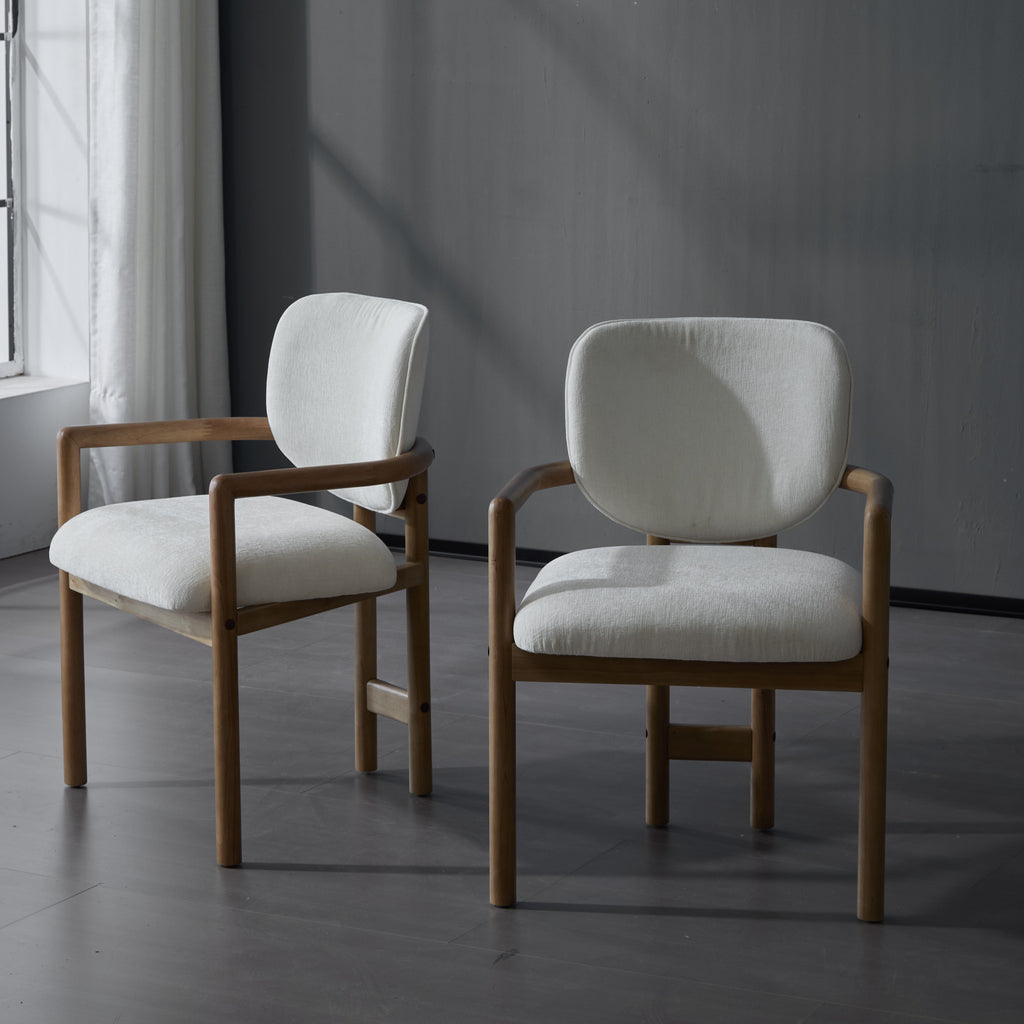 Dining Chairs Set of 2 Upholstered Arm Chairs