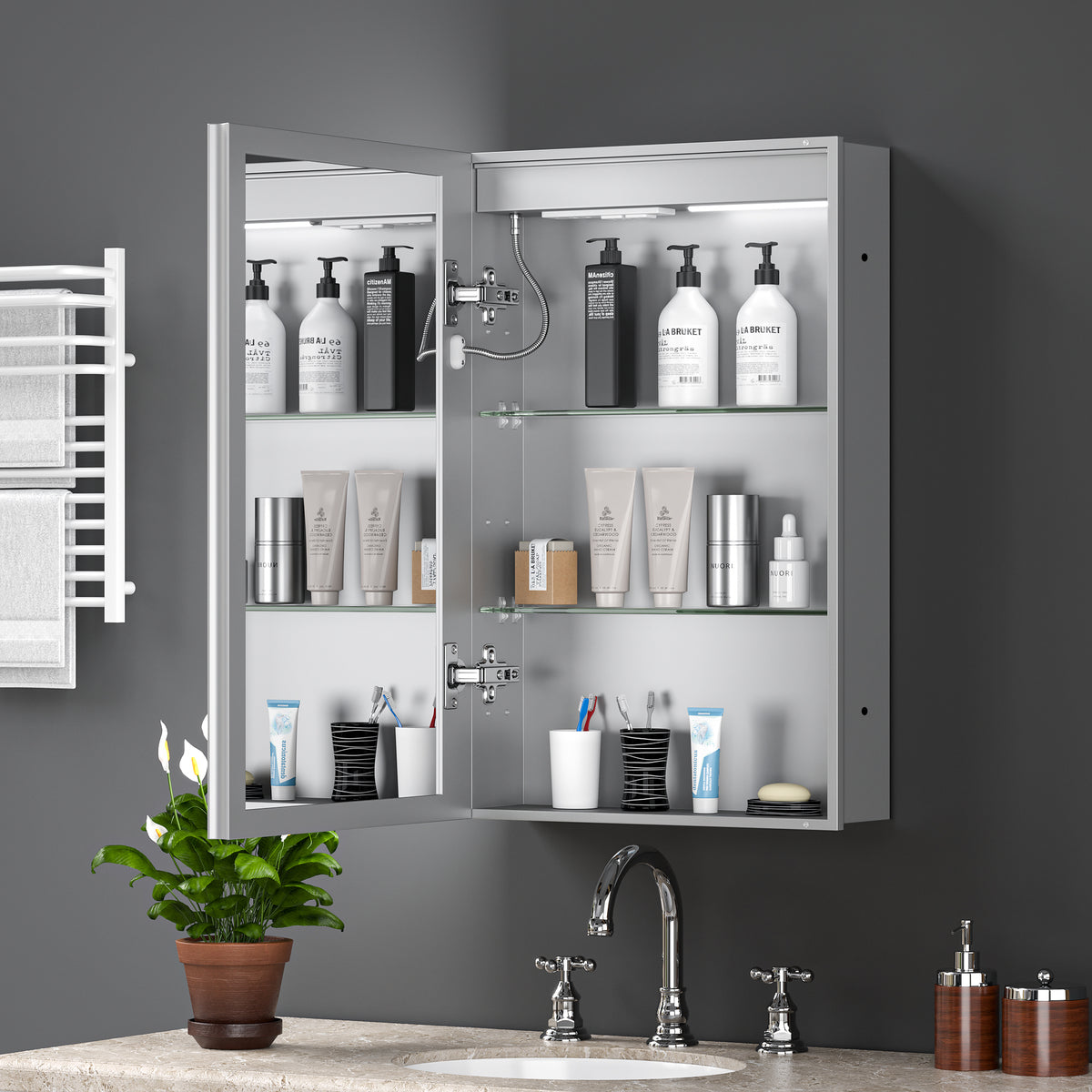 LED Lighted Medicine Cabinet with Mirror